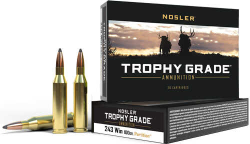 Nosler 243 Winchester 100gr Partition Tip Ammo 20 Rounds