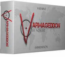 Nosler Varmageddon 243 Win 55Gr HP Ammo - 20 Rounds