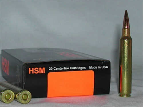 HSM 300 Winchester Magnum 168 Grain Hollow Point Ammunition, 20 Rounds
